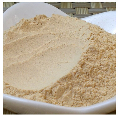 edible spice Seasoning Onion powder Onion powder 500 gram Good Kitchen Companion