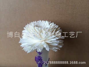 ��޹��о����޹�ٗl��Ⱦɫ�ٗl��