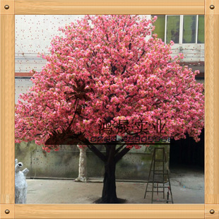 �r�����^�����̈��쾰�ѻ����ɫ���x�ձ�����ѻ���S��ֱ�N���l