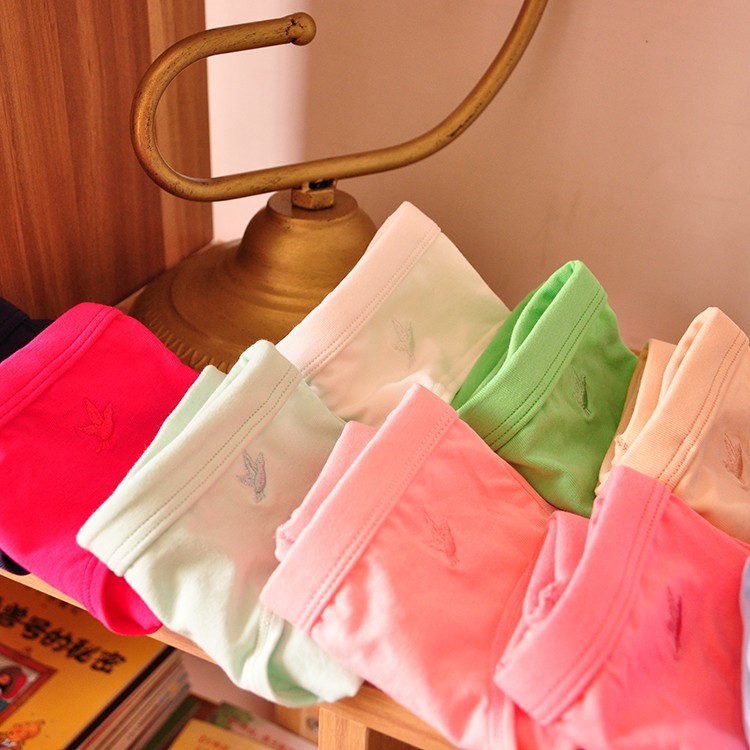 Slip jeune T2 en coton - Ref 647970 Image 9