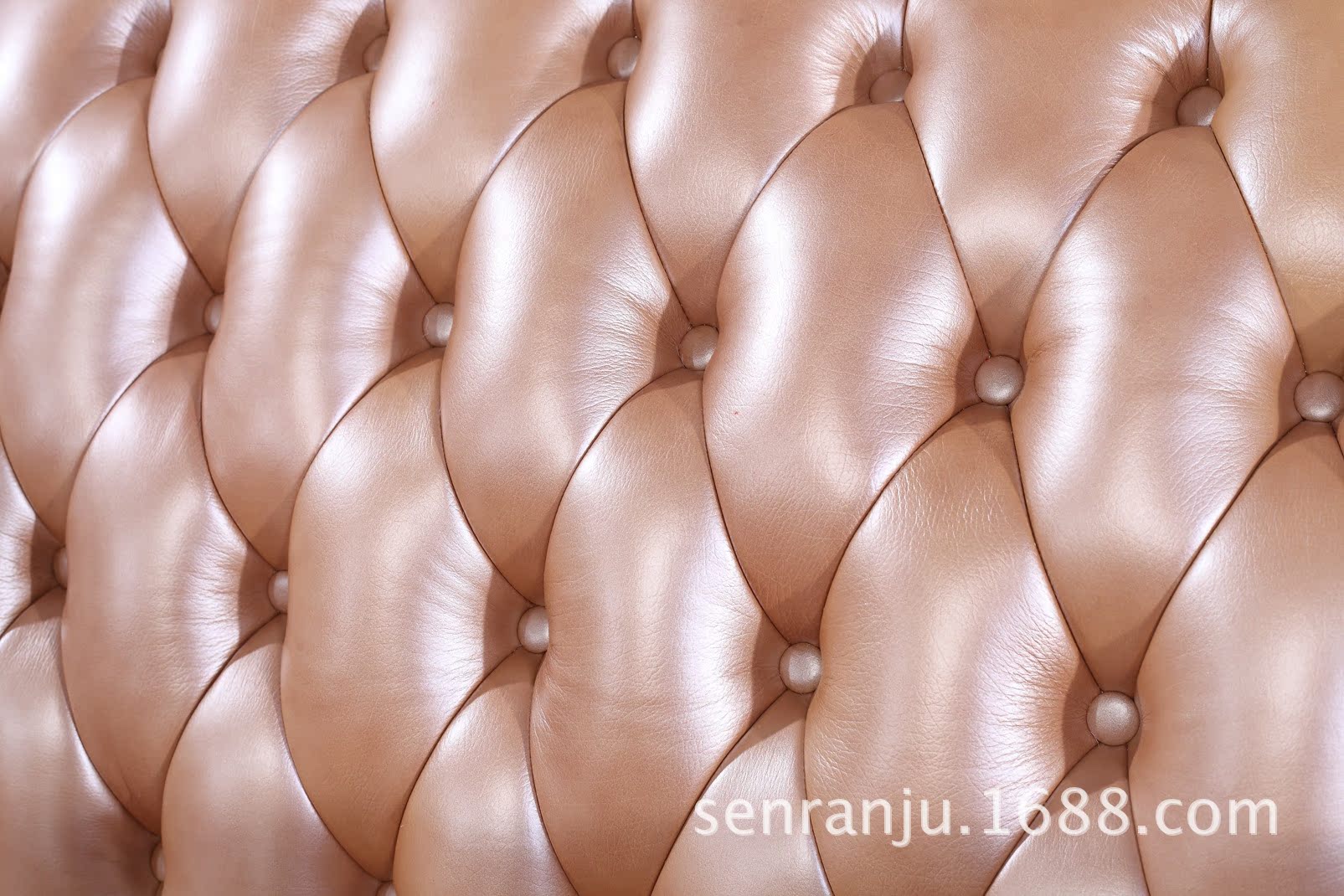 IMG_7454111131366553