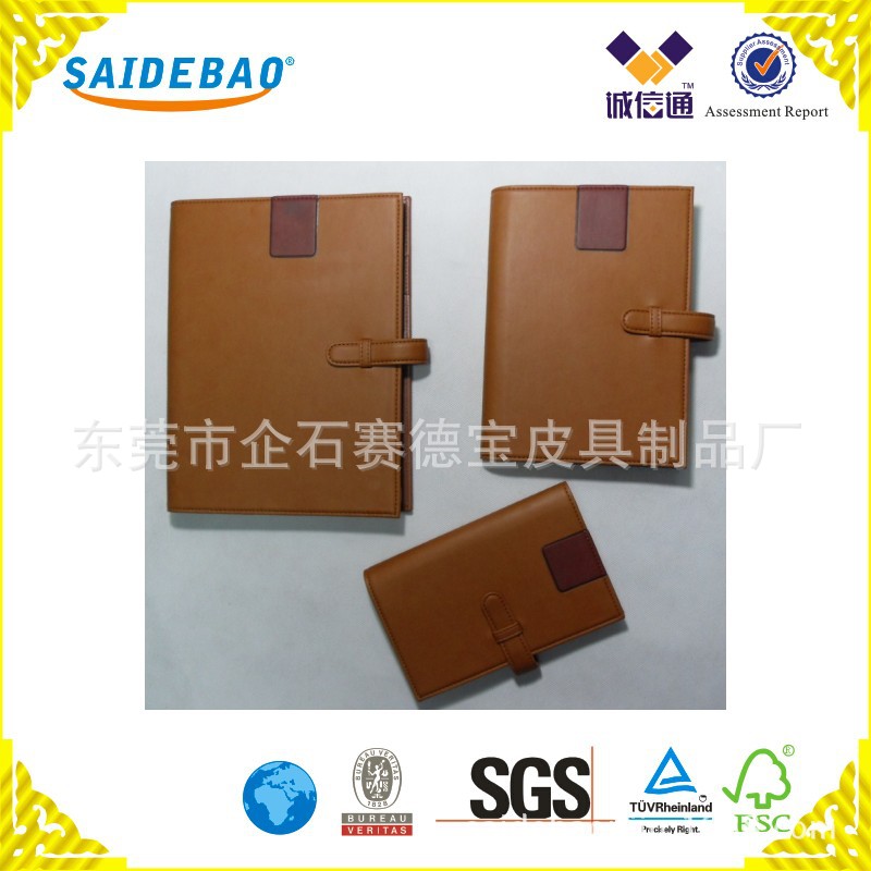 HG-1009A_conew1