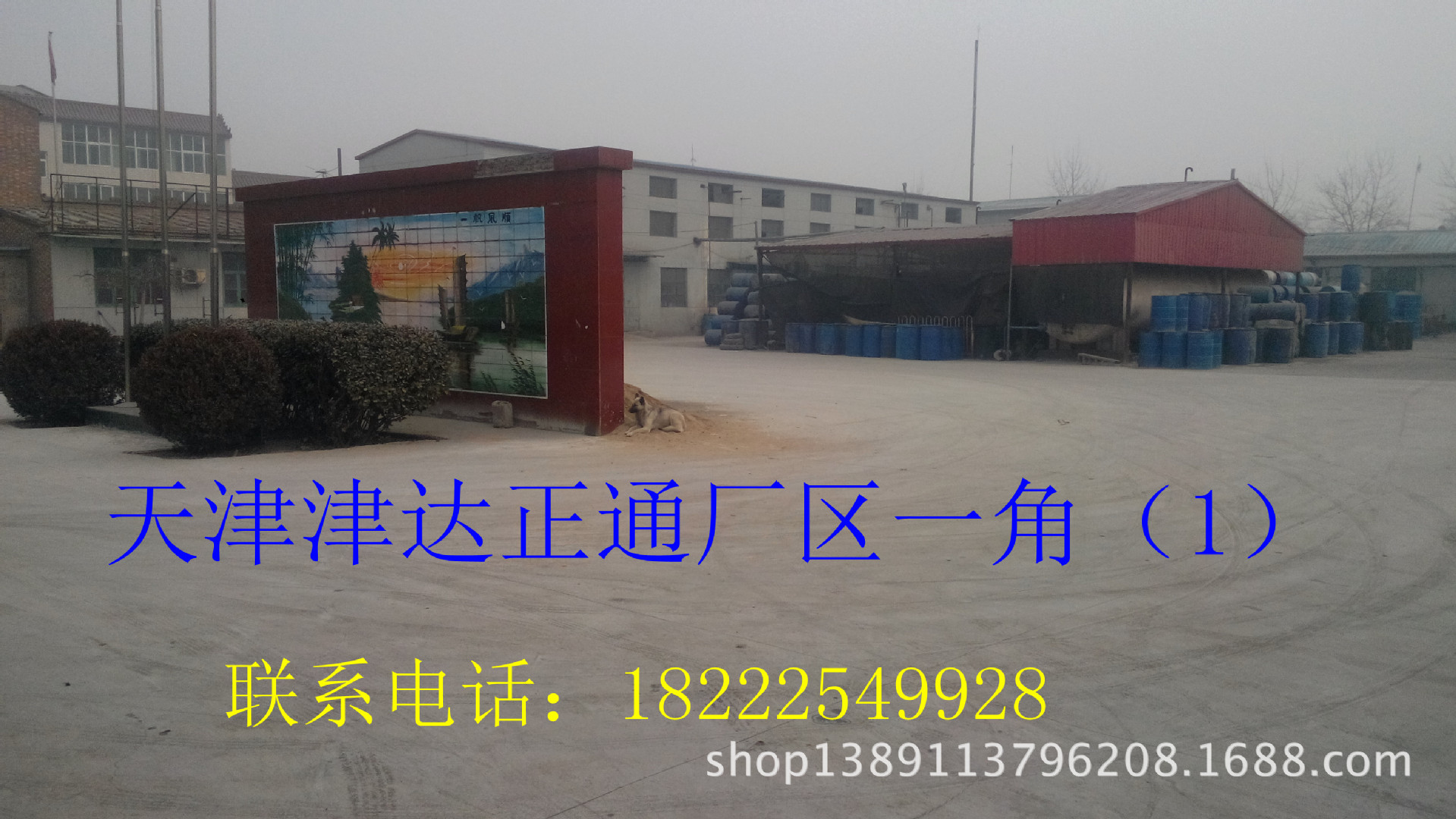 IMG_20140116_105131_副本