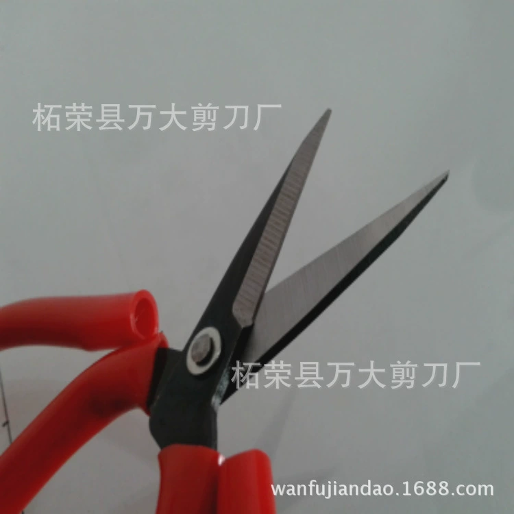 Zherong Scissors Factory No. 5 Scissors Kitchen Knife King Small Scissors Paper-cutting Scissors Small Commodities Daily Necessities