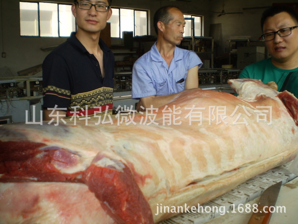 广州微波解冻设备厂家 微波解冻有害吗 微波解冻的温度