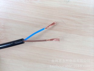 Germany imported wire 2-core 0.5 square meters Lenny brand LEONI polyurethane sheath line PU Oxford wear-resistant soft