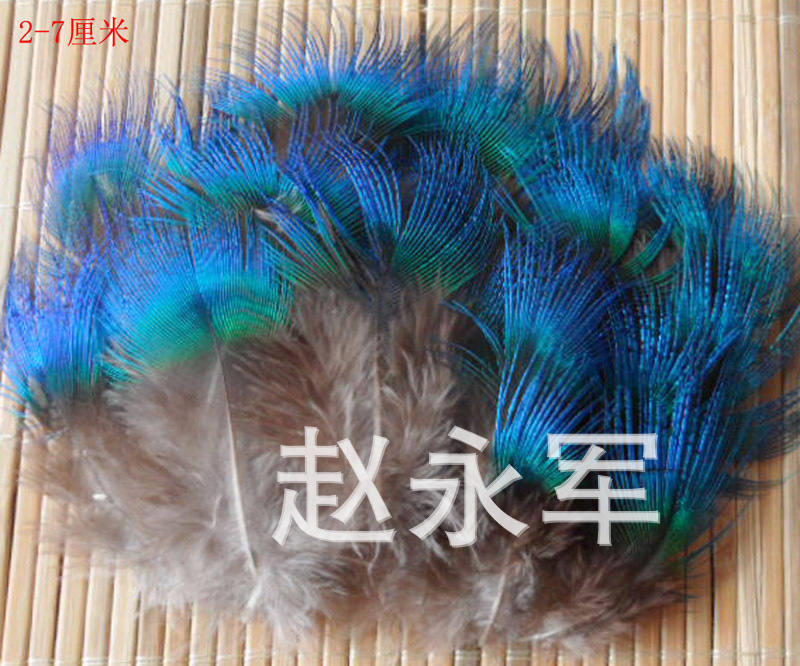 T2AnLuXqdXXXXXXXXX_!!867175682