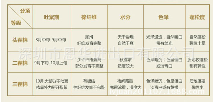 春花秋拾3