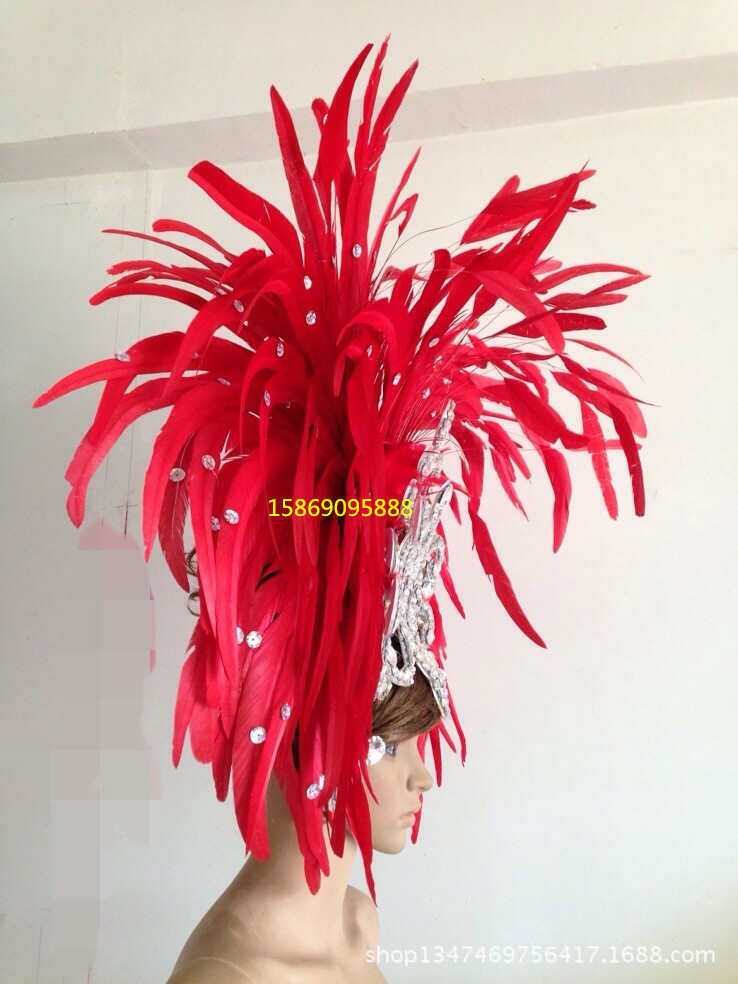 舞臺表演羽毛裝飾