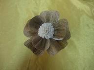ԭƤ��ș��ͨ�ݻ�,�ٗl��ˇ���Ҿ��b�Ʒ���o����޹��sola flower