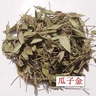 �䱳��ș�Ĺ��ӽ�ɢѪ�����i�����~�ض����Ӳ�