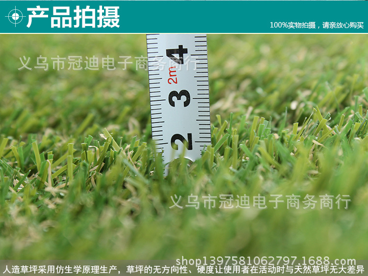 805加密秋草2cm_05