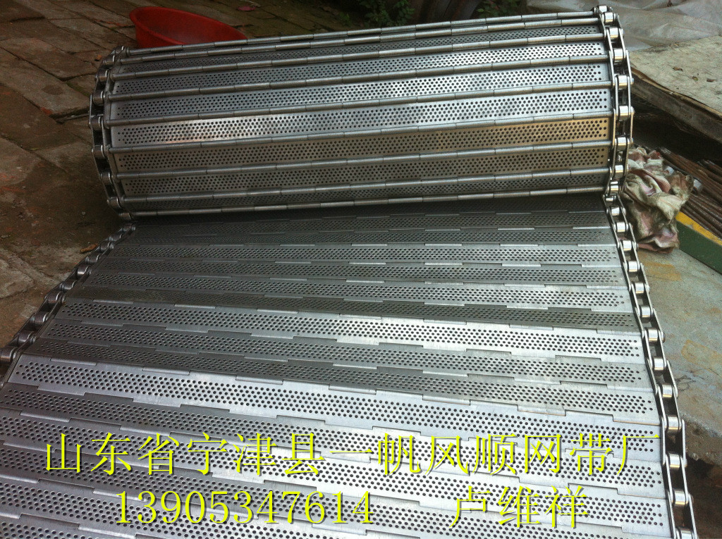 清洗机烘干机链板输送带 -401