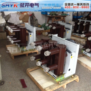 VS1(ZN63)-12/630-20�͑�ȸ߉���Ք�·�� ����܇ʽ��