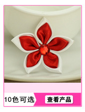 产品推荐32副本_19