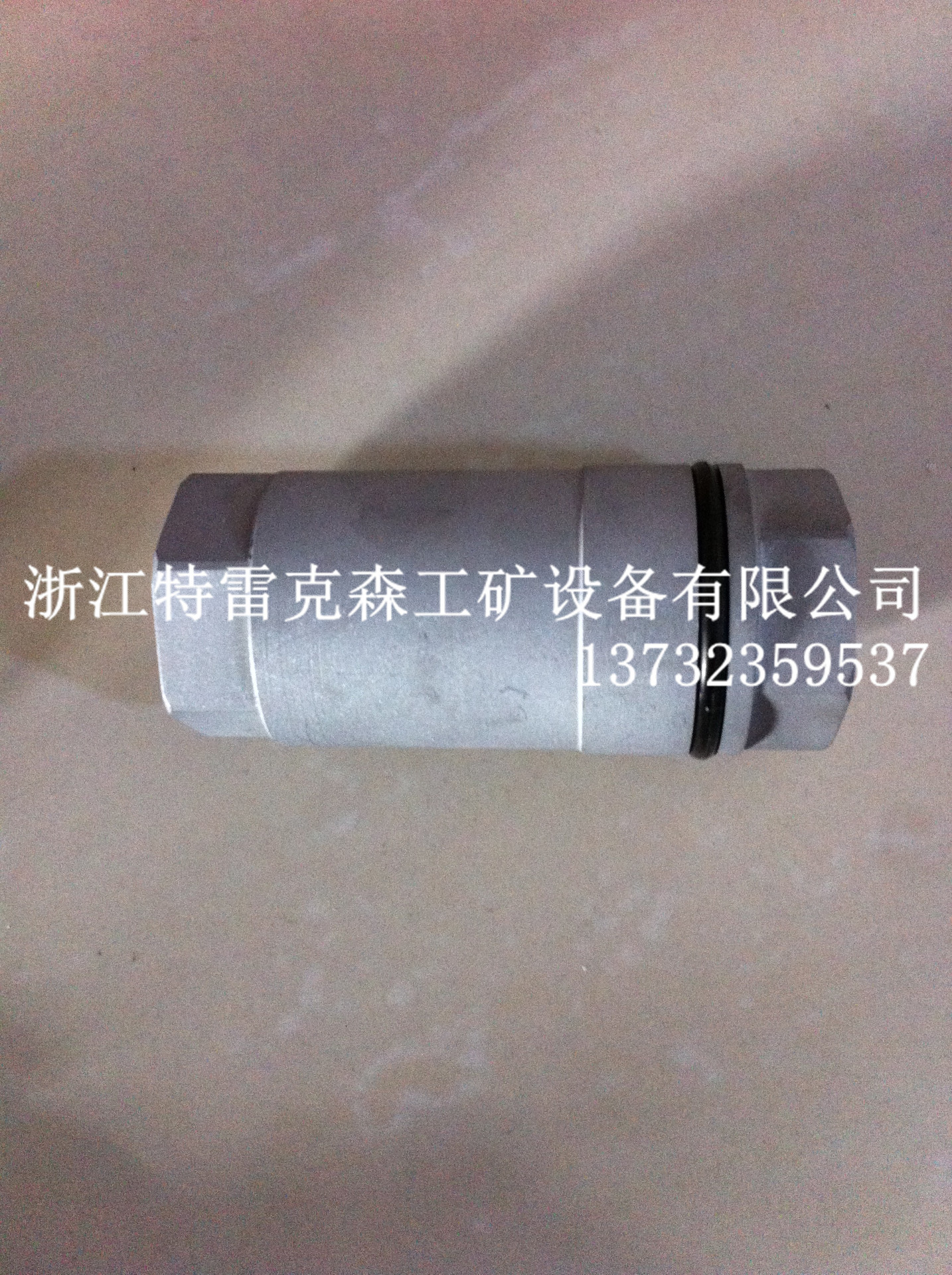特雷阿克斯TEREX,单向阀02356564