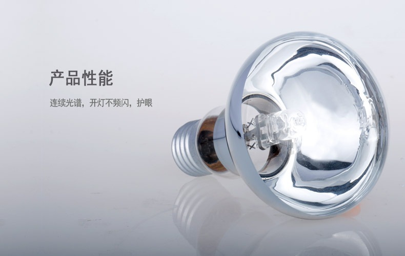 R63鹵鎢燈泡4