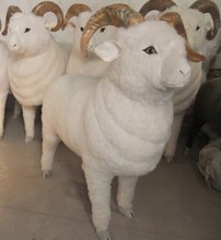 SֱN d    ֹ ϶YƷ ֧ցӶ