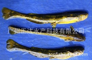 �\�ŏS�ҳ��� ţβ���~�~�� ���K��M�l�~�����L���|�V�|�~��