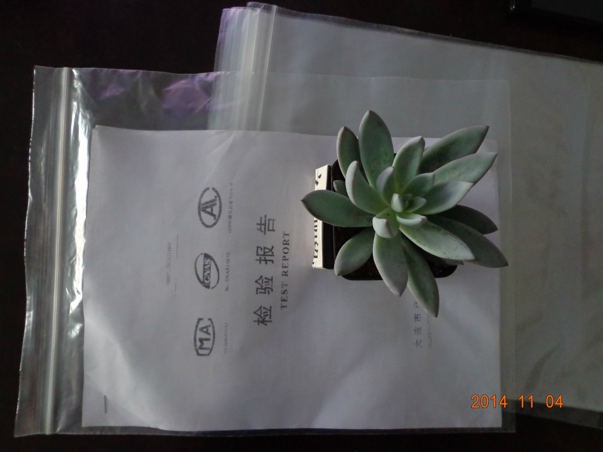 各规格现货透明pe拉链袋 自封口塑料包装袋 胶骨袋厂家直供