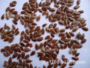 �S�һ����h������ș��Ʒ�|���C ������ ������