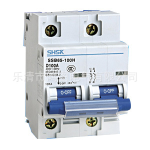 一级代理 上海三开空气开关SSB65-100