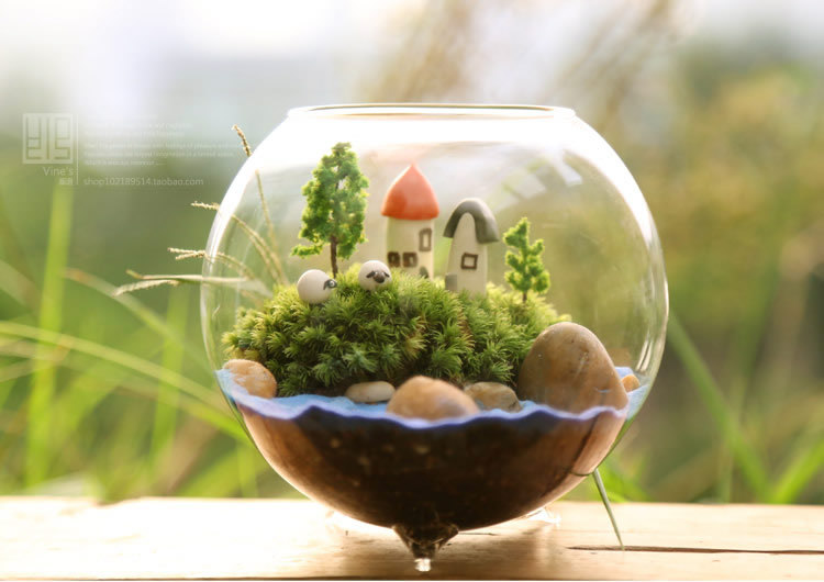 Jarrón de vidrio transparente tazón de peces de colores de vidrio tres pies florero suculento micro paisaje botella de musgo