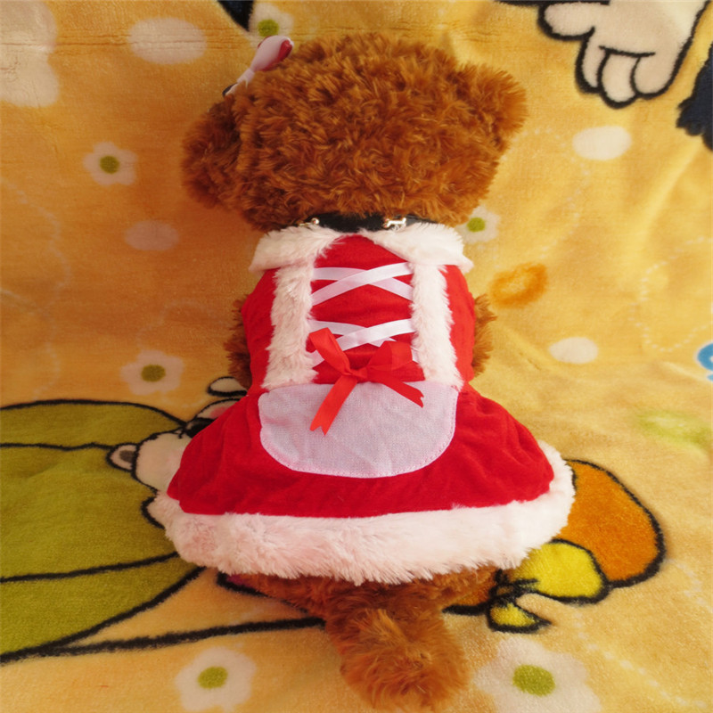 IMG_5658_副本_副本