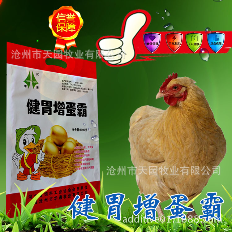 河北廠家直銷蛋多飼料添加劑健胃增蛋霸雞鴨鵝畜禽用雞藥增蛋寶