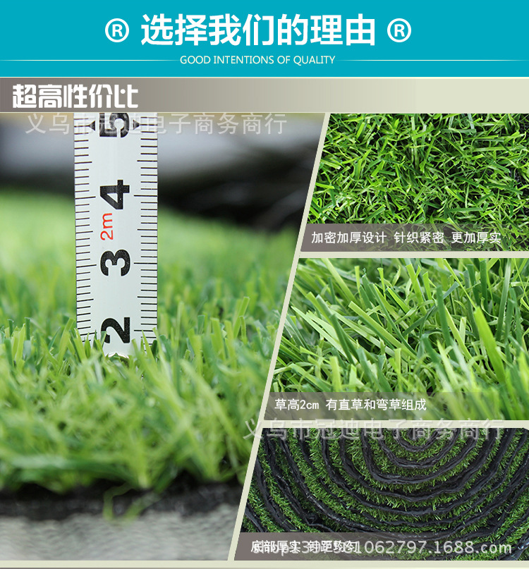 804加密春草2cm_02