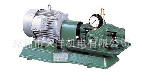 日本龟岛铁工所NK KAS10齿轮泵