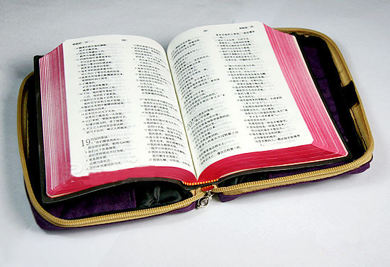 T2GRJUXh4XXXXXXXXX_!!43034387_