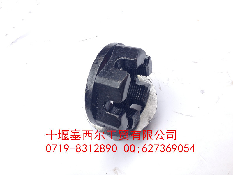 IMG_1471.B69FE55A0B6CC04EE55D1