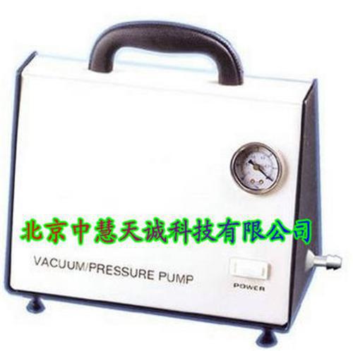 无油真空泵 型号：DP-10/10A