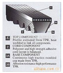 ���Ǵ� ��ɫ�к��������Ǵ�VECTOR POWER��ͨV�� D��