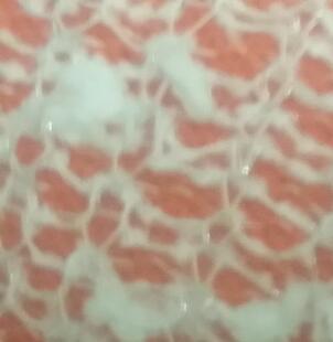 �������NҎ���ᘿ��y�z��ᘲ� ���I��ᘺ��� ��z�y�z���沼