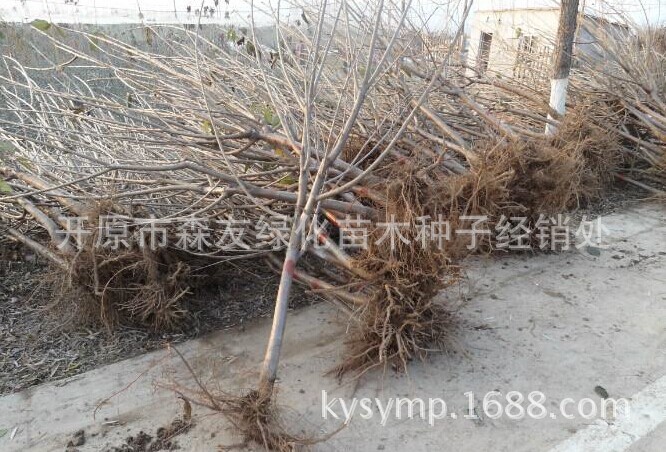 QQ图片20141203200122