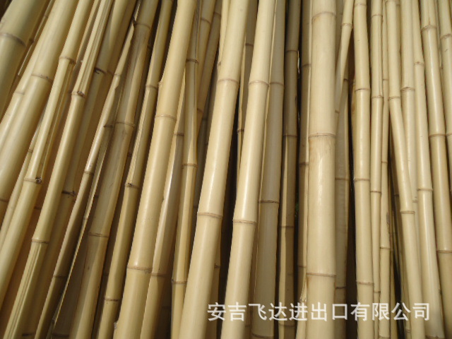 工厂供应 白竹 厘竹苦竹各种规格竹子洗白竹-阿里巴巴
