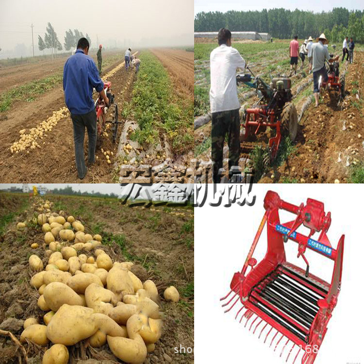 土豆收货机好用的 单人操作 花生收获机