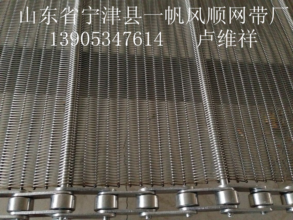 清洗机网带链条、烘干机网带链条、不锈钢网带链条输送带!-80