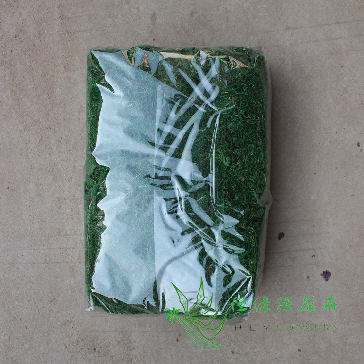批发苔藓微景观生态瓶造景专用苔藓创意苔藓微景 青苔藓