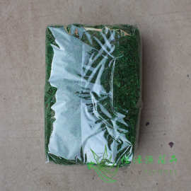 批发苔藓微景观生态瓶造景专用苔藓创意苔藓微景 青苔藓