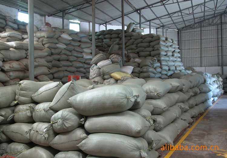 151325726_576435656_副本