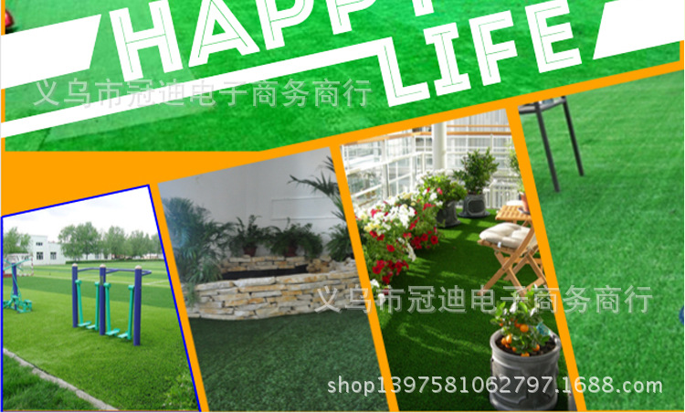 804加密春草2cm_10