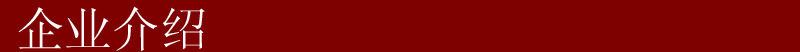 企業介紹