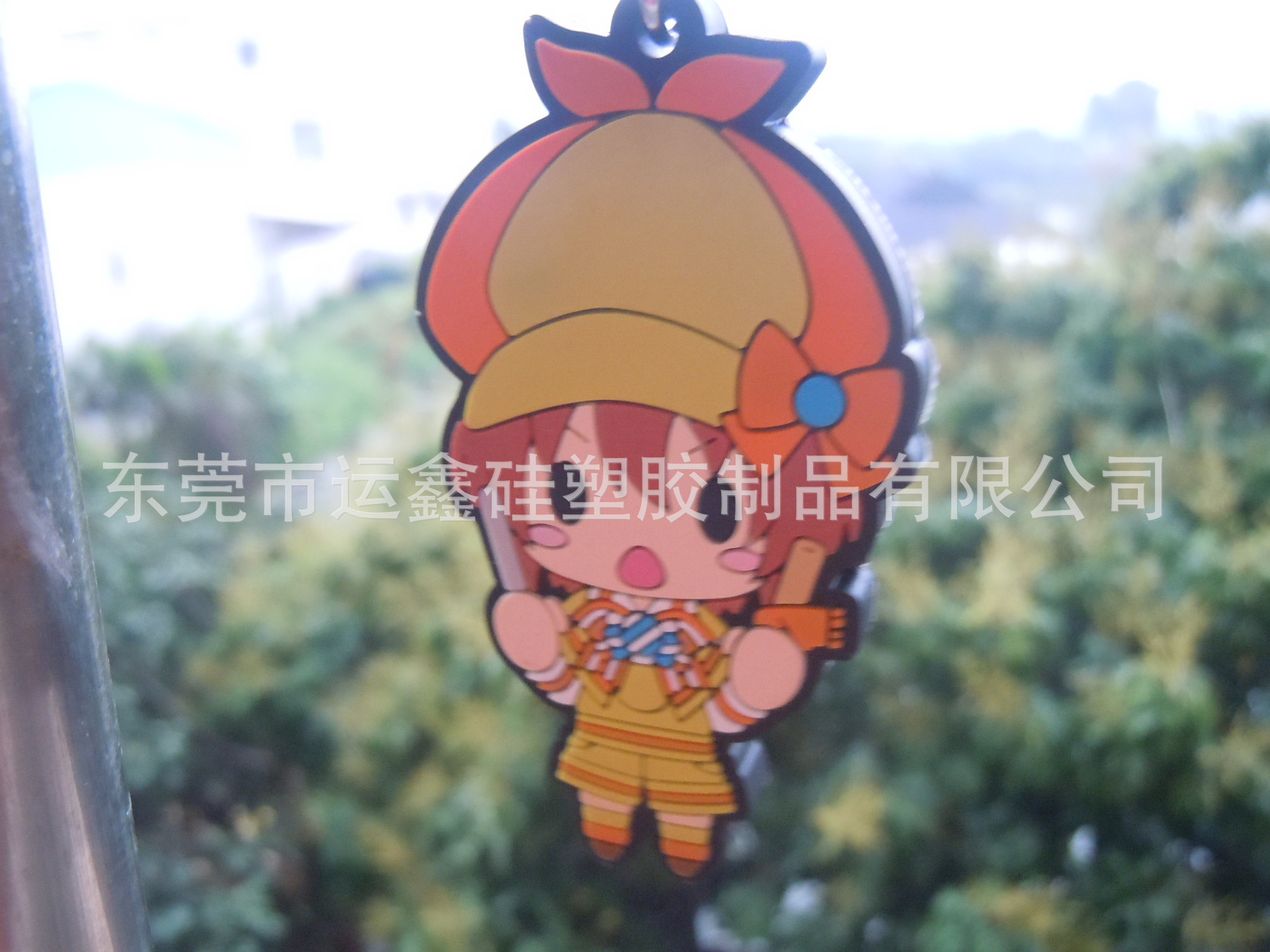 DSCN5420