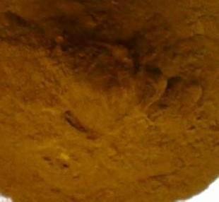 ���Ϲ���ľ�|�ػ����c �ݝ{ ľ�{ �pˮ��ľ�{ ��������ľ�ػ����c