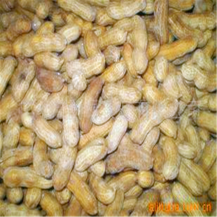 [Special cheap]Quick frozen peanuts -- Quick-frozen snacks