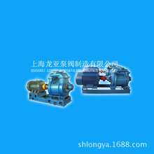 供SK-0.8变频真空泵 sk-9石油化工水环式真空泵