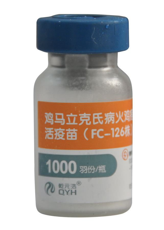 鸡疫苗：守护家禽健康成长的关键防线
